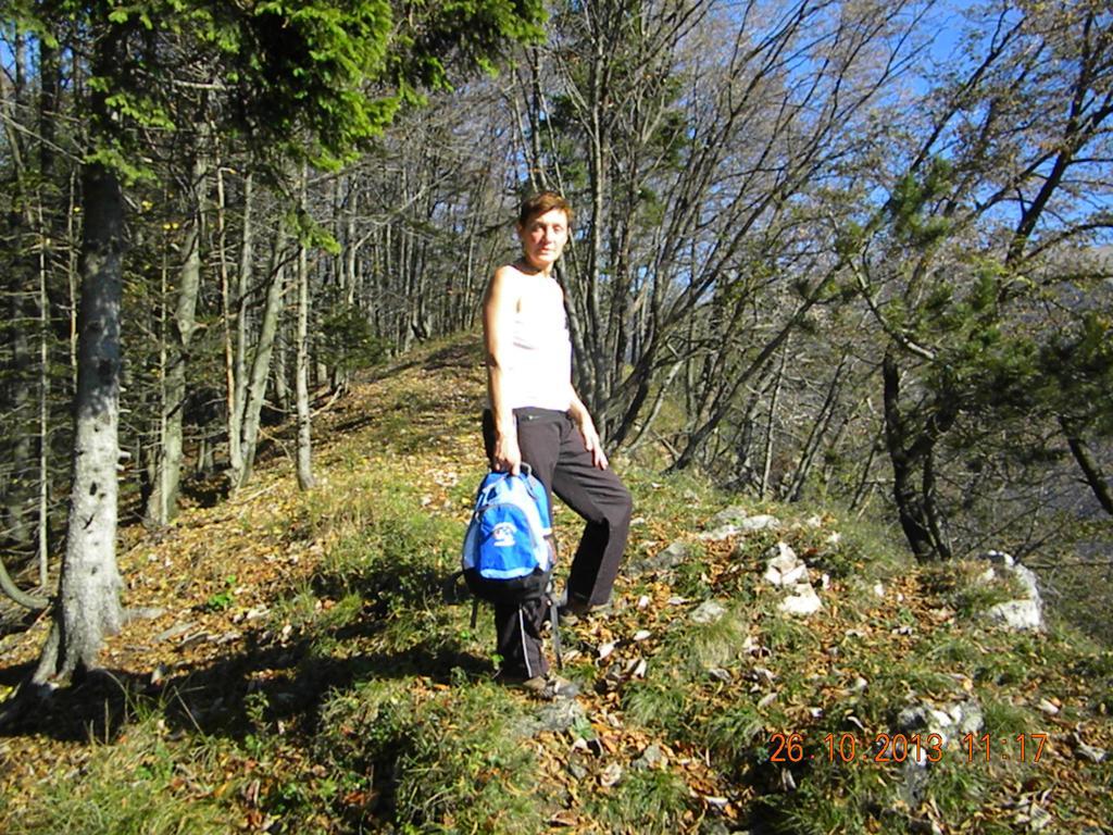 Studio Jesenice Bagian luar foto